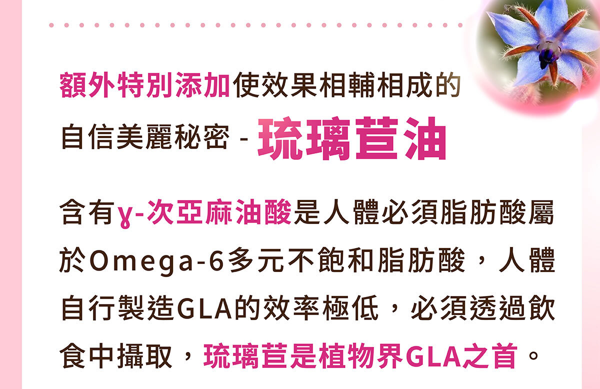 美洶波波-養成誘人焦點-1-21