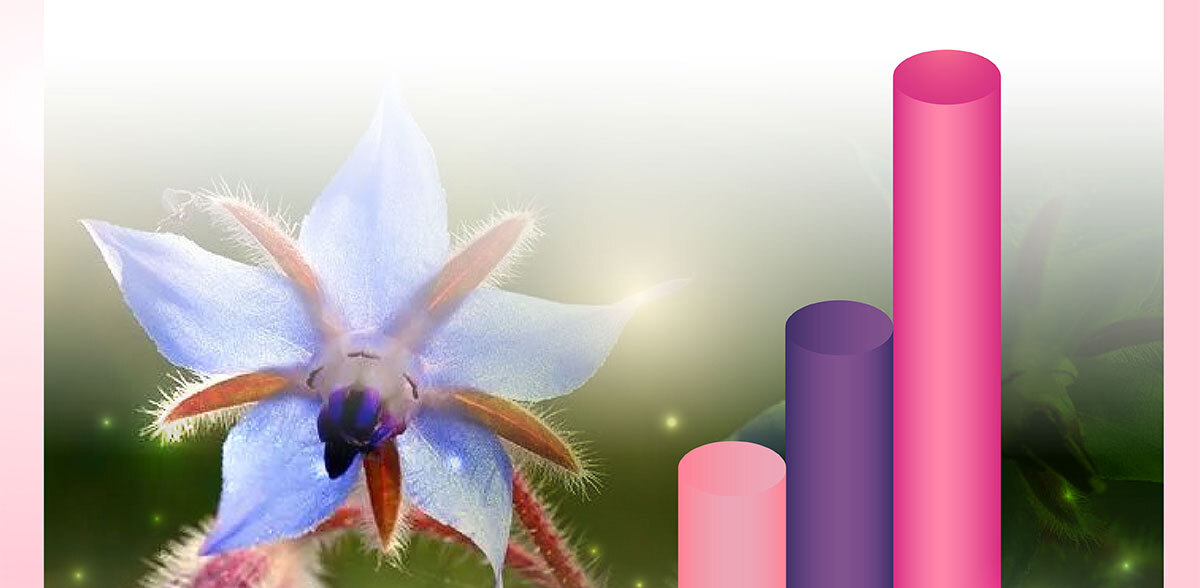 美洶波波-養成誘人焦點-1-23