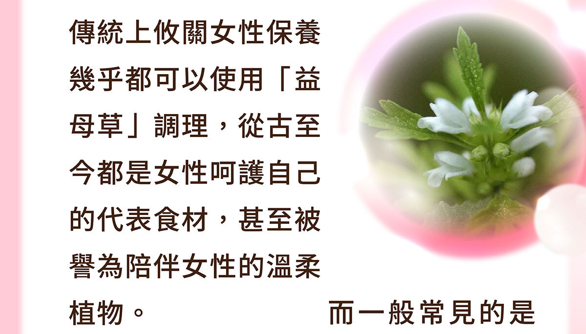 美洶波波-養成誘人焦點-2-12