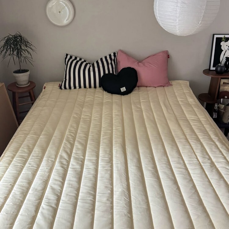 danceonthefloor | 不沾毛保潔墊 （3種顏色）