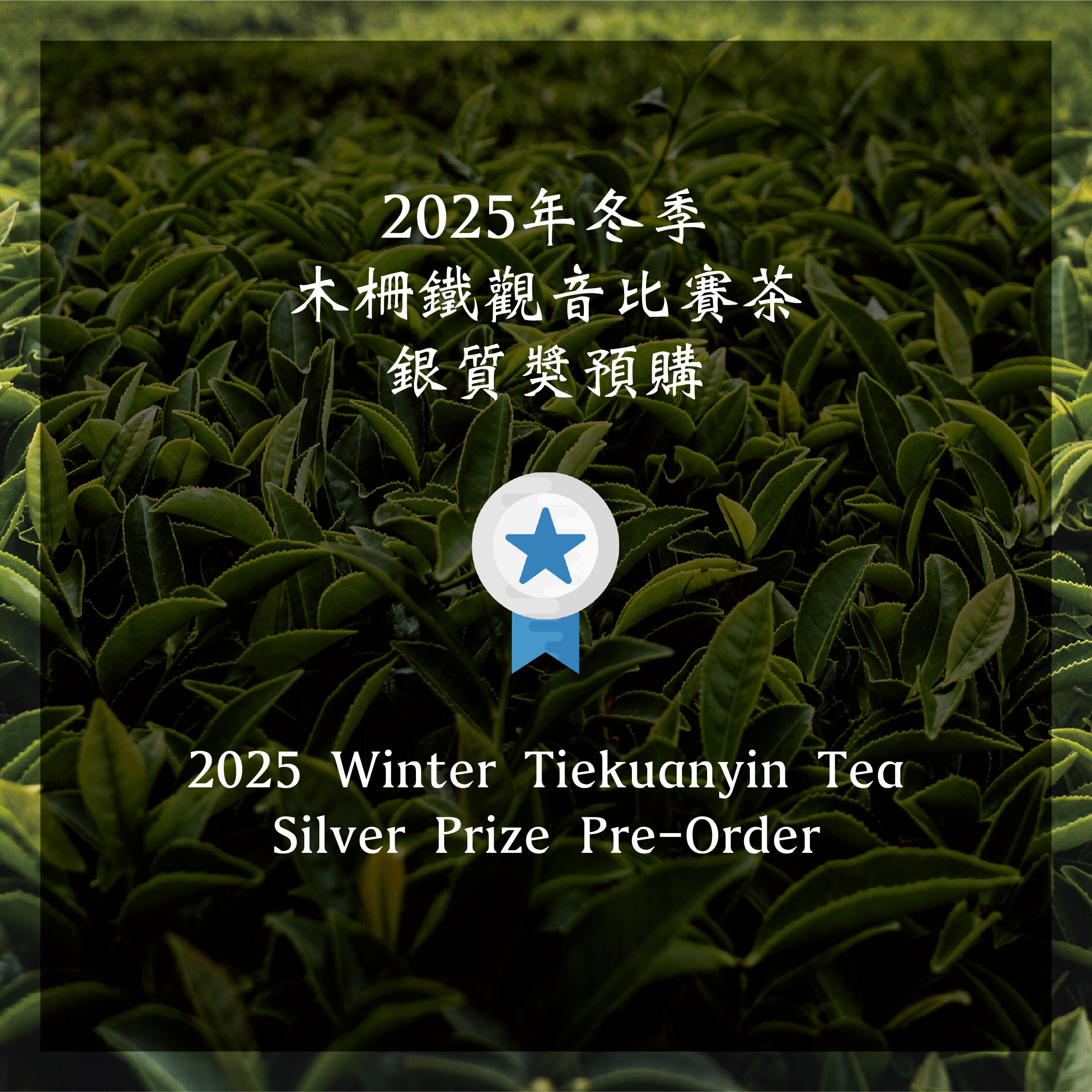 木柵鐵觀音茶銀質獎—2025年冬