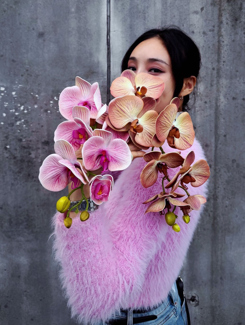 擬真蝴蝶蘭（三色）