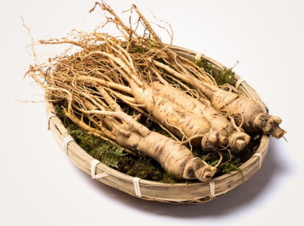 【直播】韓國東醫蔘 LL122440 紅參家庭時光特飲 (一盒14瓶)[買一送一]