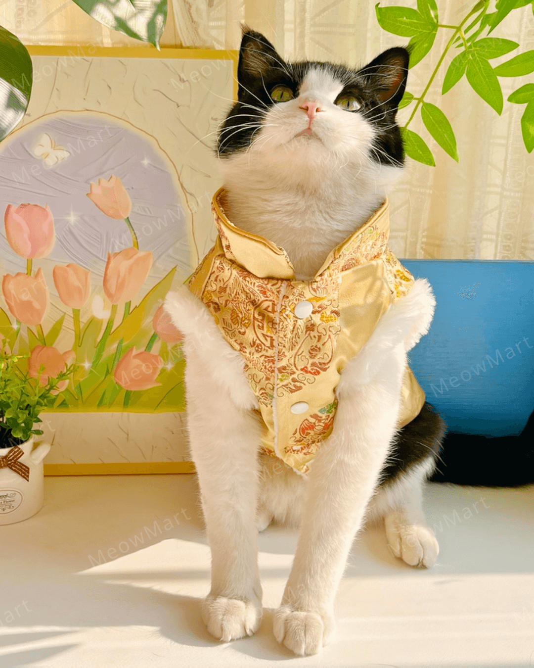 富貴吉祥賀年唐裝