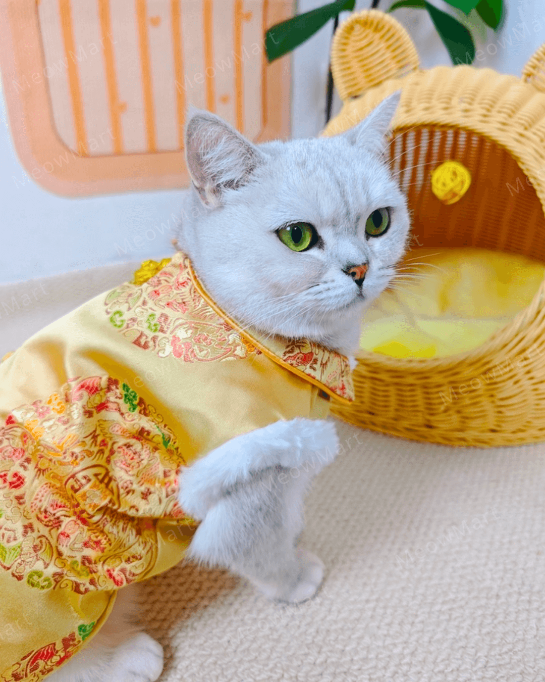 富貴吉祥賀年唐裝