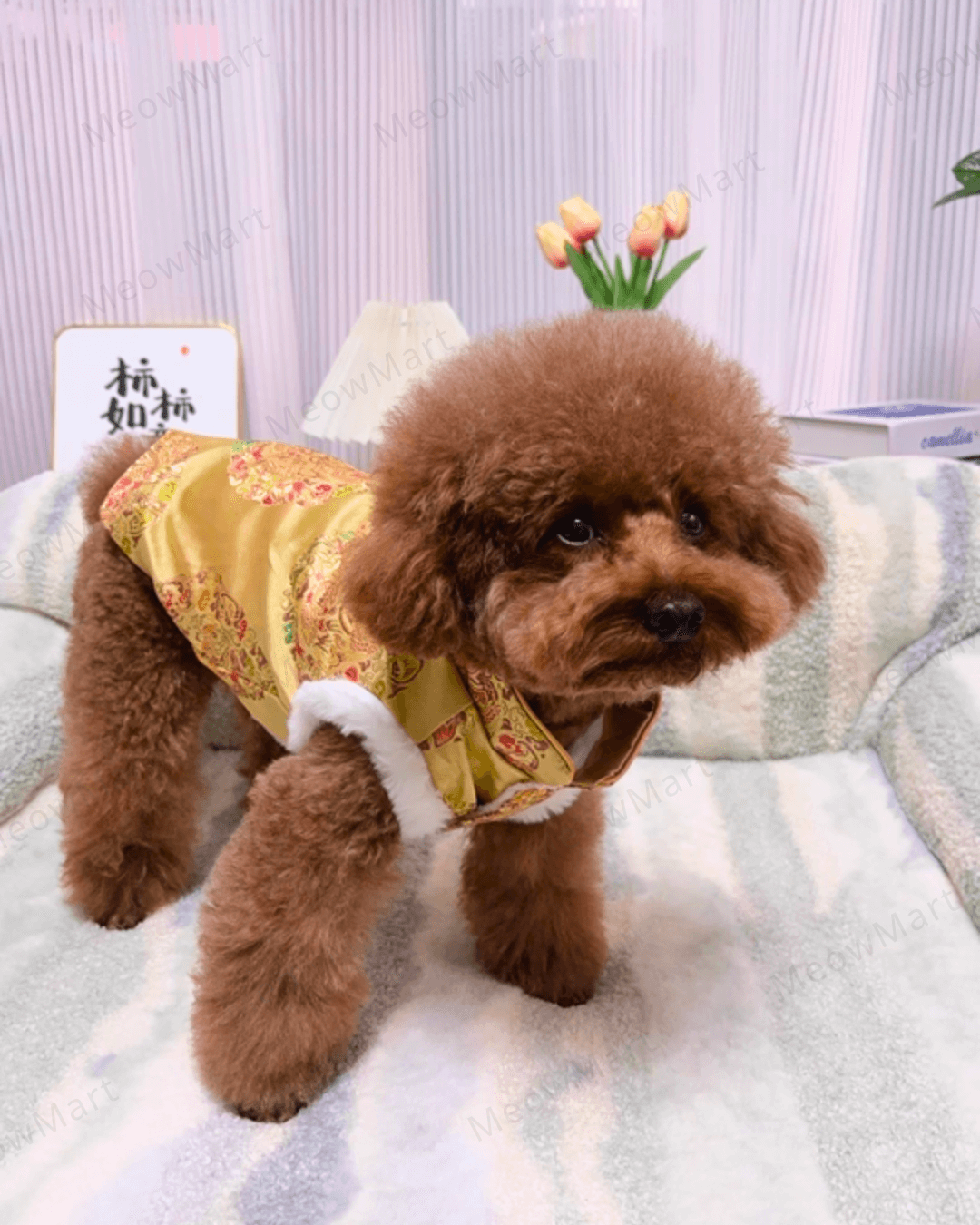 富貴吉祥賀年唐裝