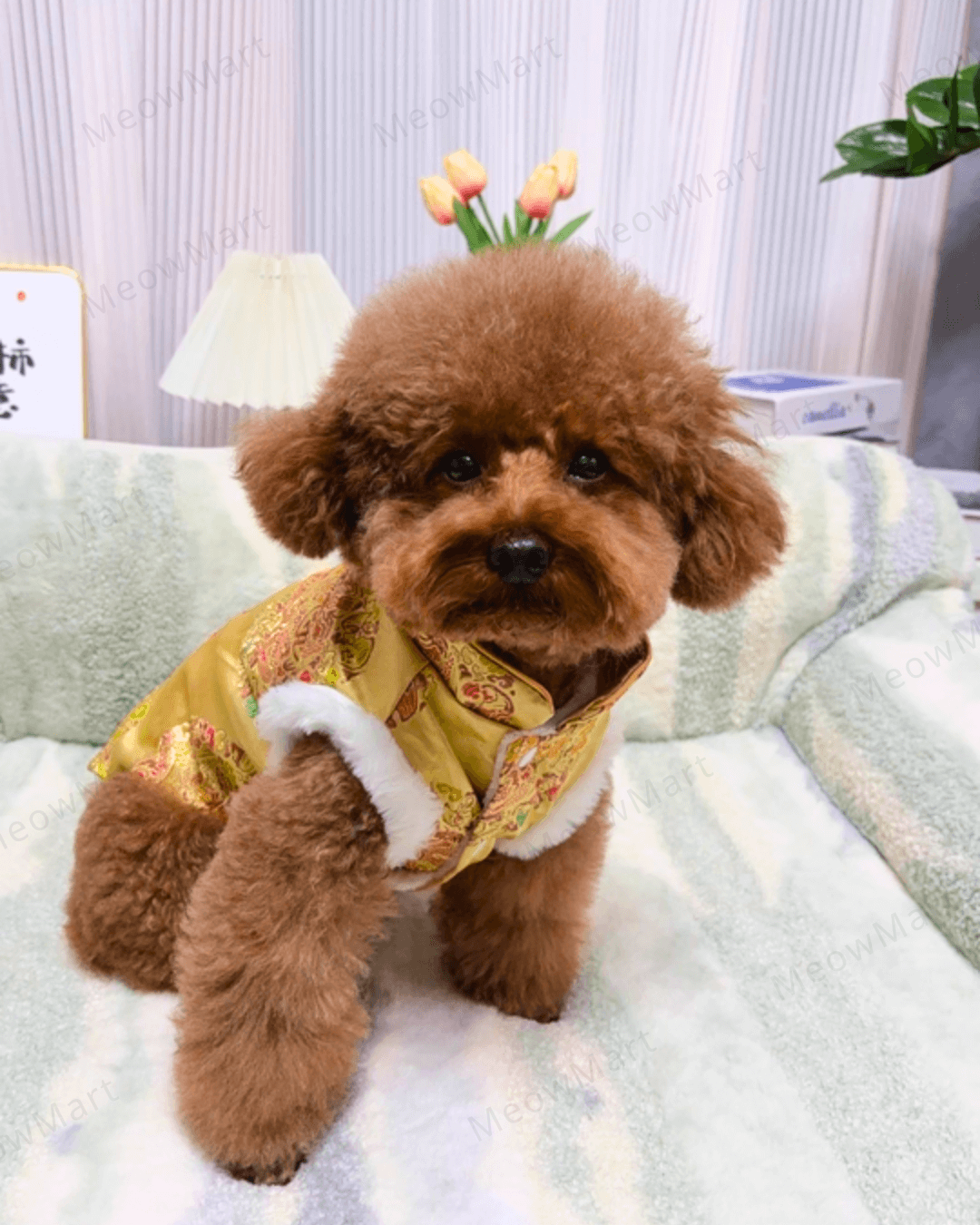 富貴吉祥賀年唐裝