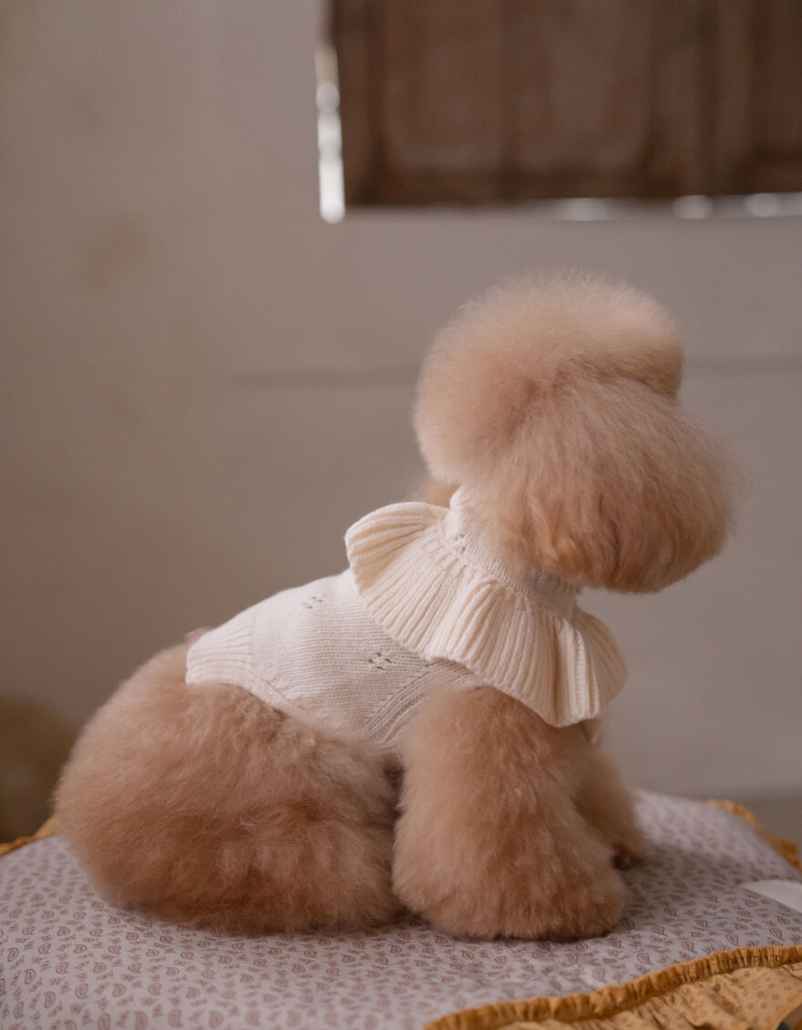 OPAAAP 花領針織毛衣_象牙白