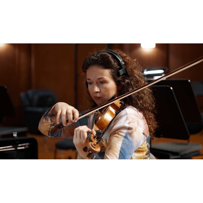 Vienna Symphonic Library Synchron Solo Strings Bundle (Standard Library)｜獨奏弦樂音源