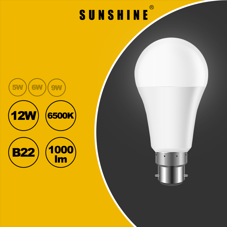 LED燈膽(A60球膽) 12W B22釘頭 白光6500K / 黃光3000K LGT-12B22D/W