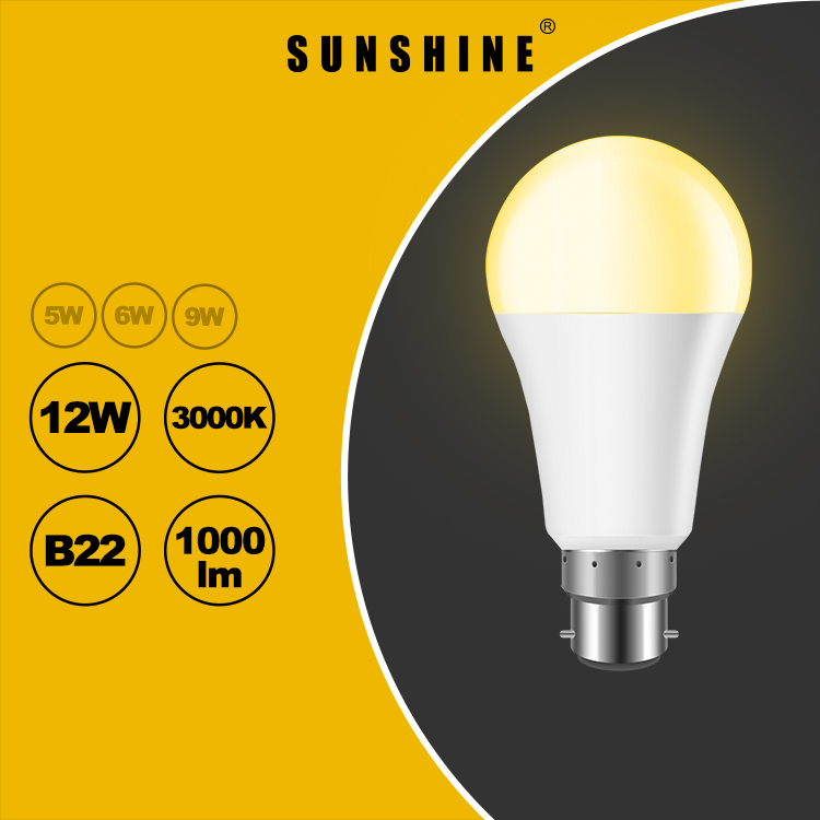LED燈膽(A60球膽) 12W B22釘頭 白光6500K / 黃光3000K LGT-12B22D/W