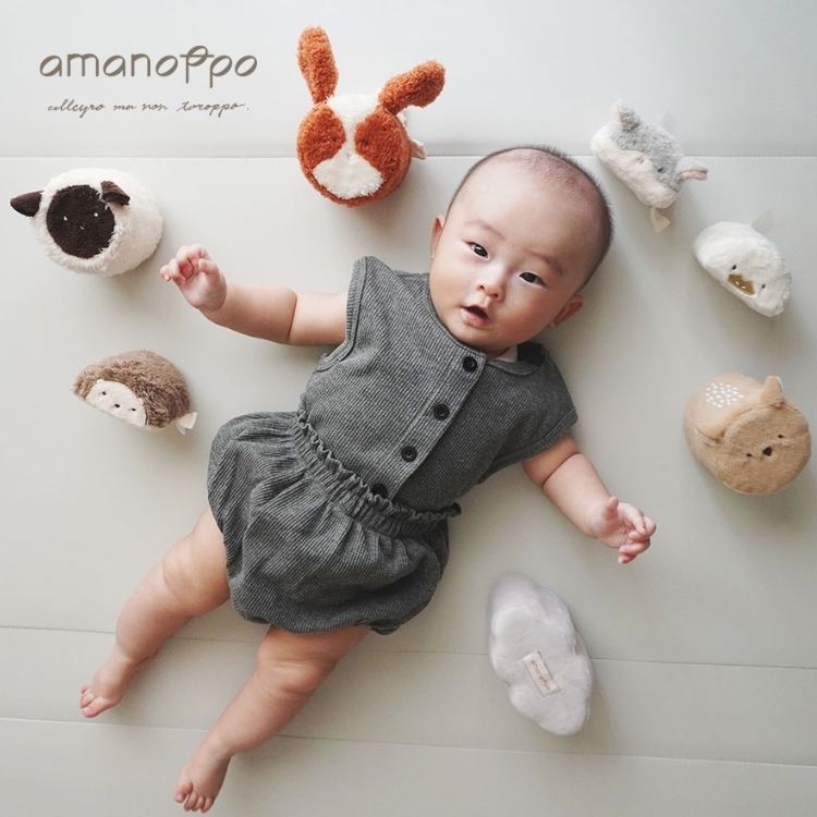 【日本amanoppo】Fluffy Baby雲朵動物布積木