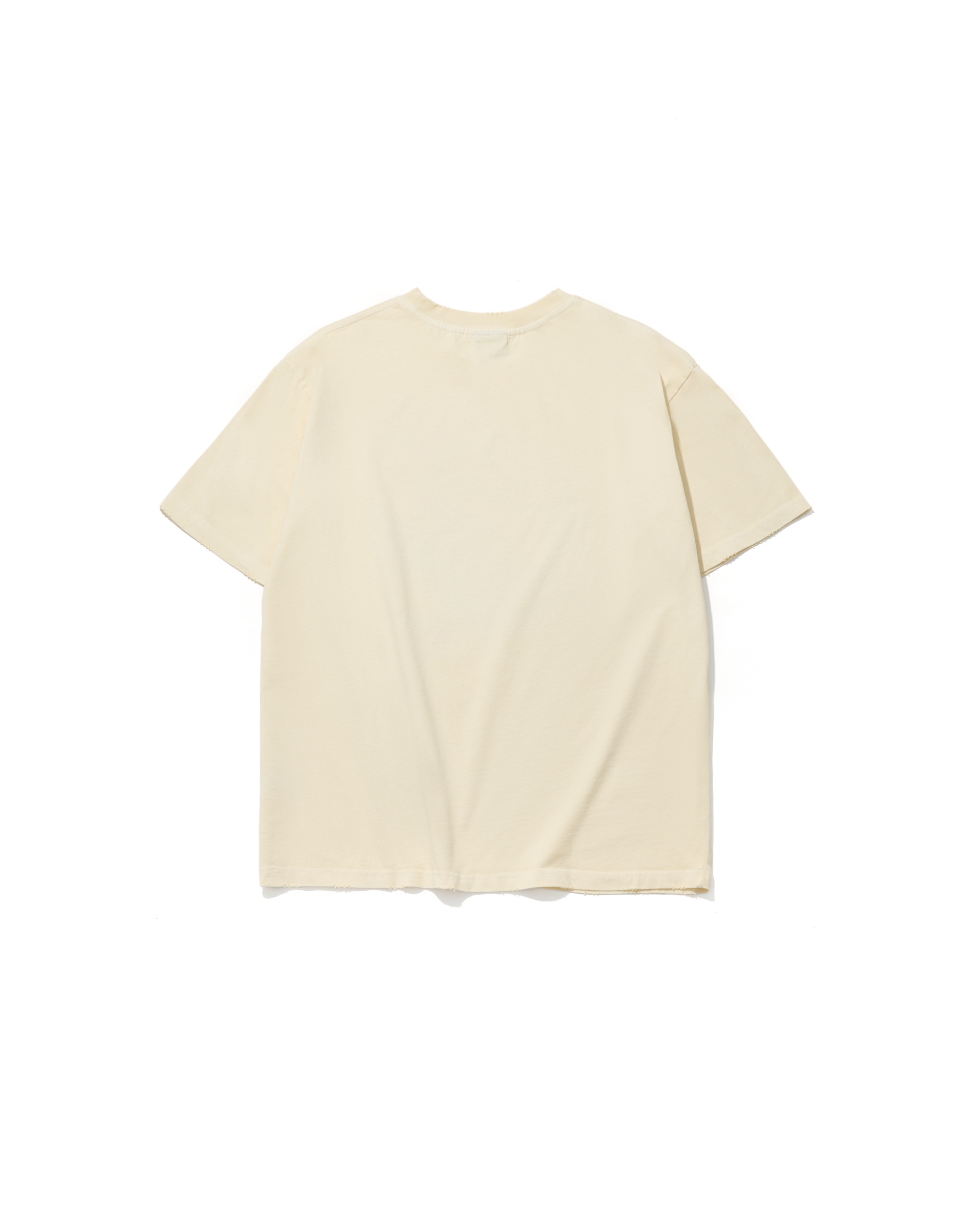 AES SPEEDING SKULL VINTAGE WASHED OVERSIZE TEE