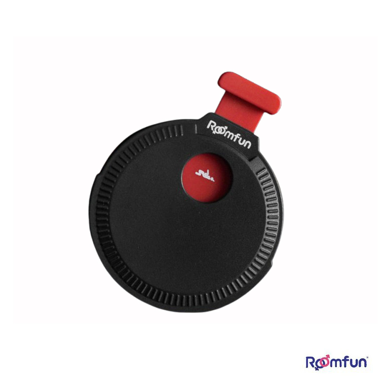 Roomfun 性愛姿勢大冒險 遊戲轉輪