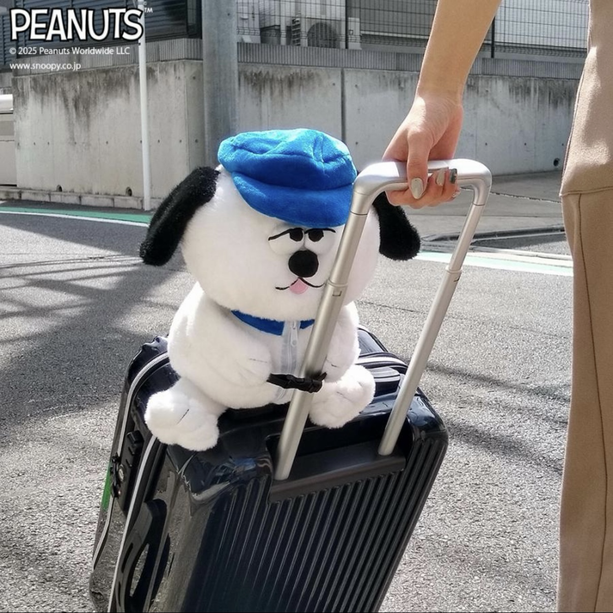 <正版授權>歐拉夫 娃娃 頸枕 U型枕 史努比