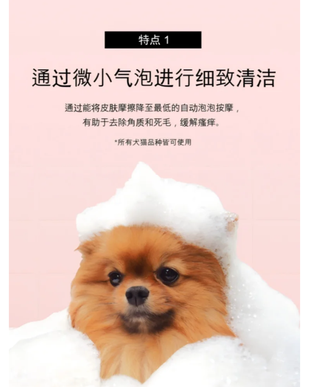 Renadog積雪草爆毛泡泡浴30g