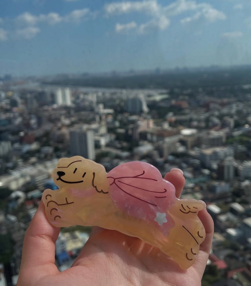 泰國插畫品牌zky.studio|狗狗造型髮夾