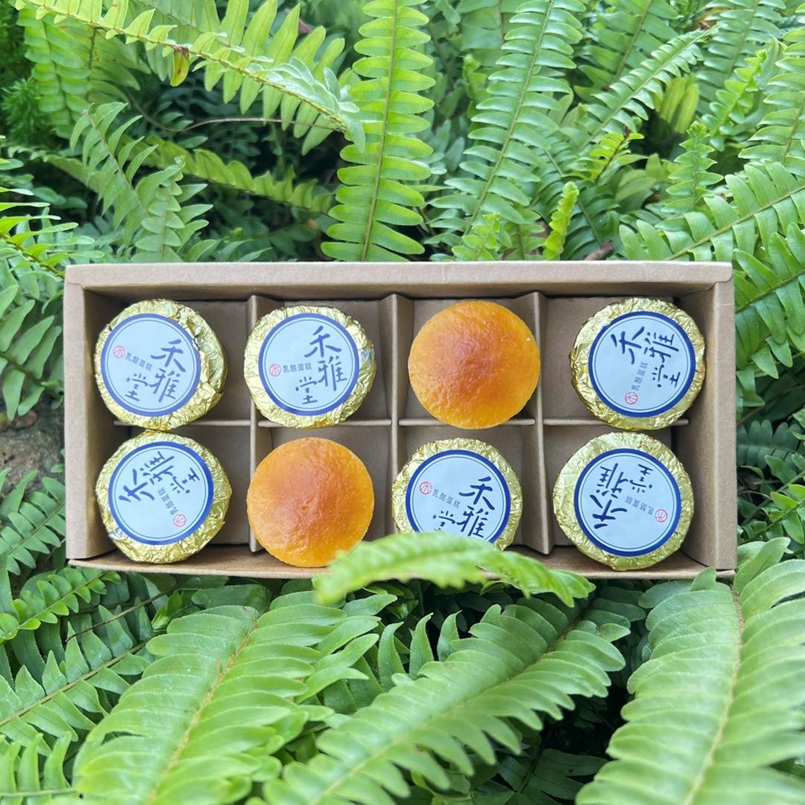 (團購)禾雅堂經典乳酪蛋糕(02/10到貨)