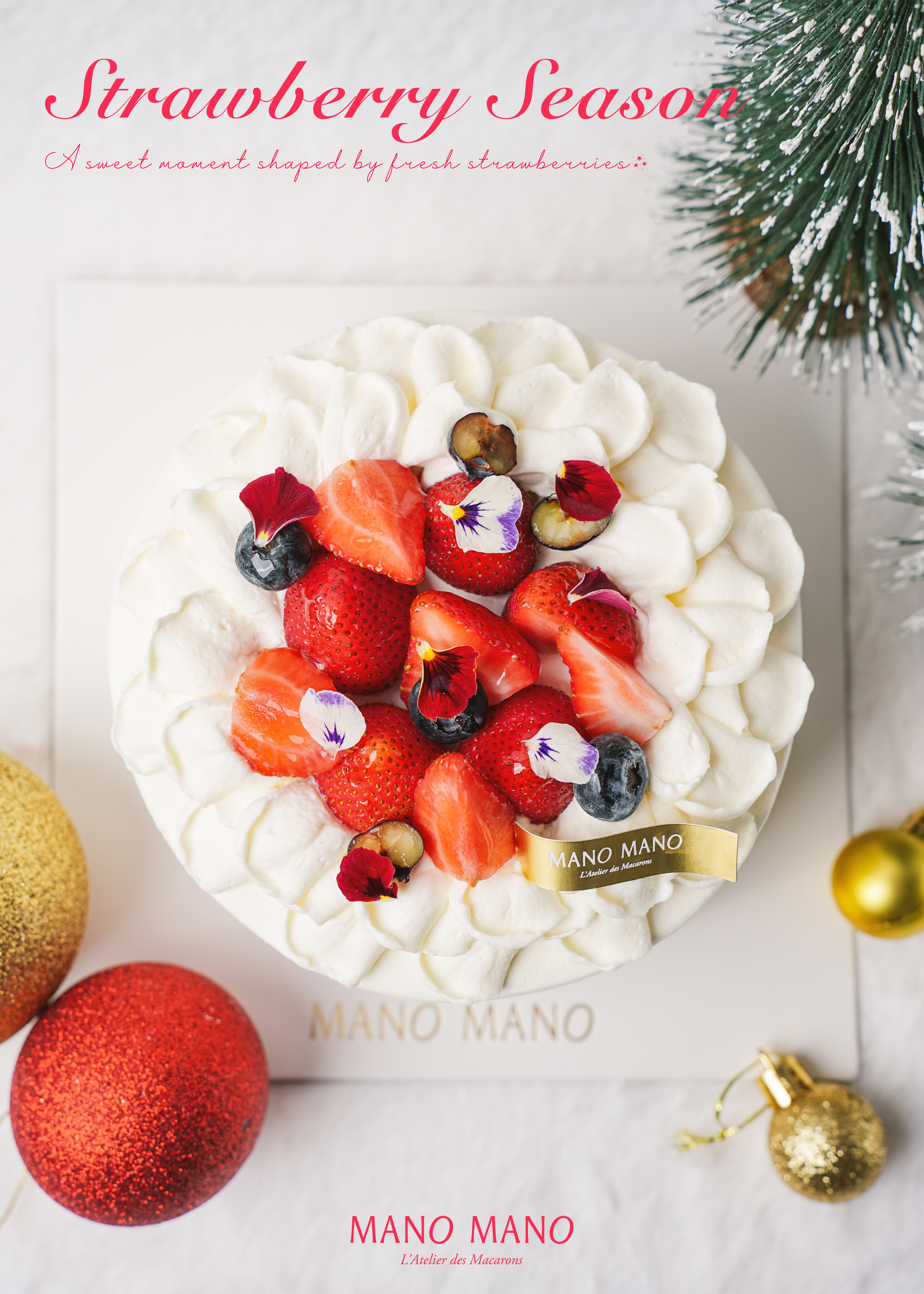 草莓季限定｜6吋 冬日草莓