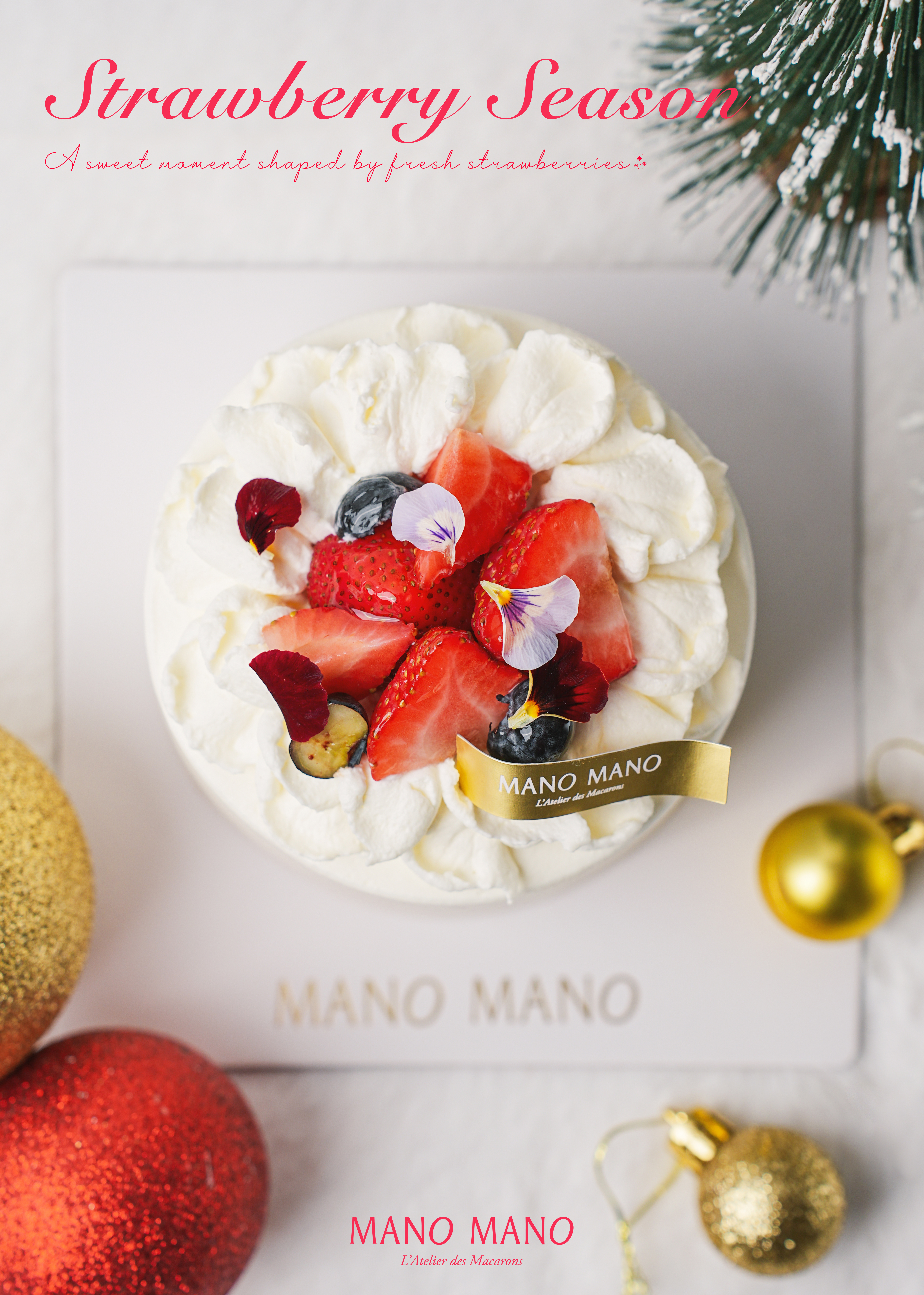 草莓季限定｜4吋 冬日草莓