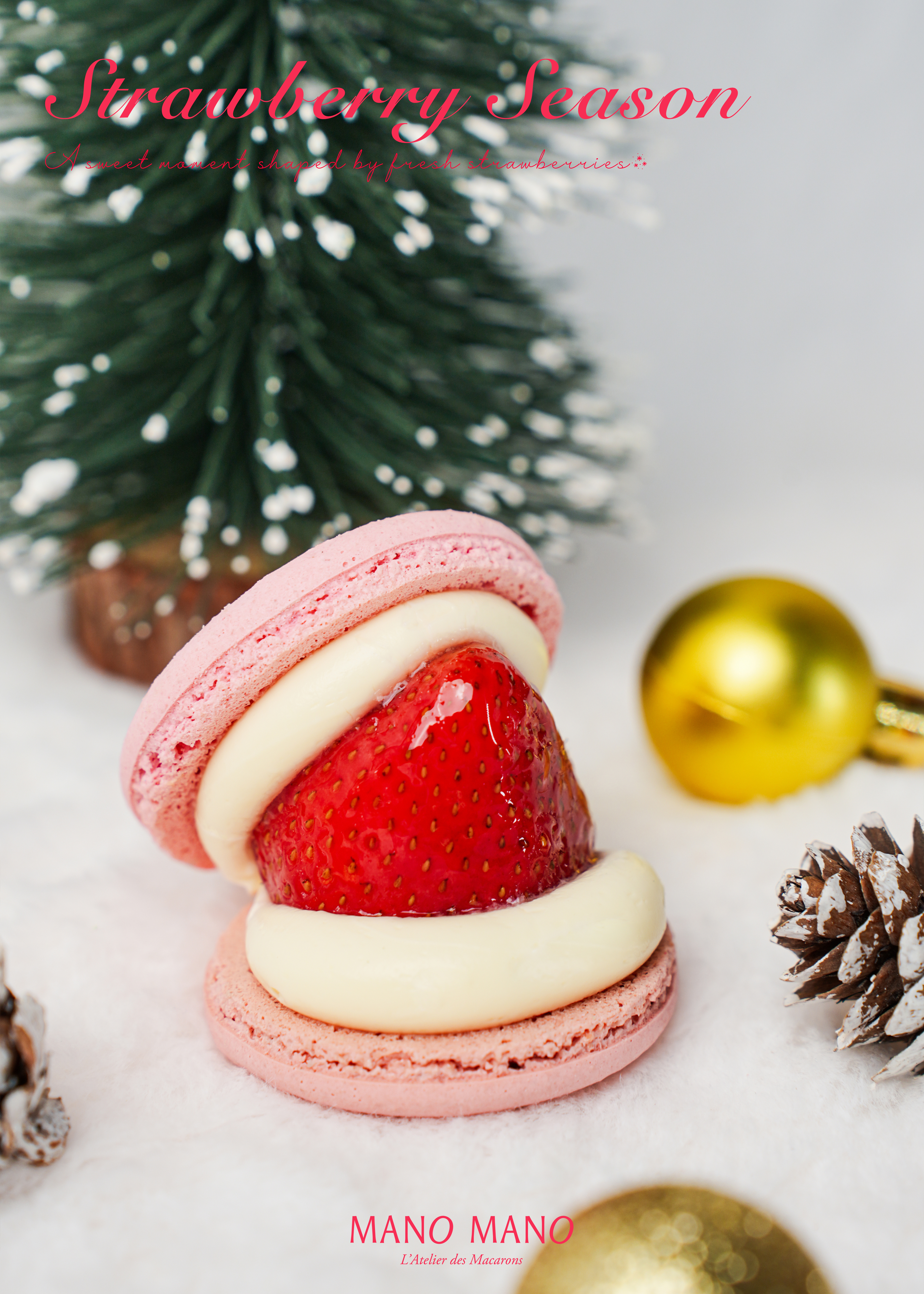 草莓季限定｜草莓貝殼