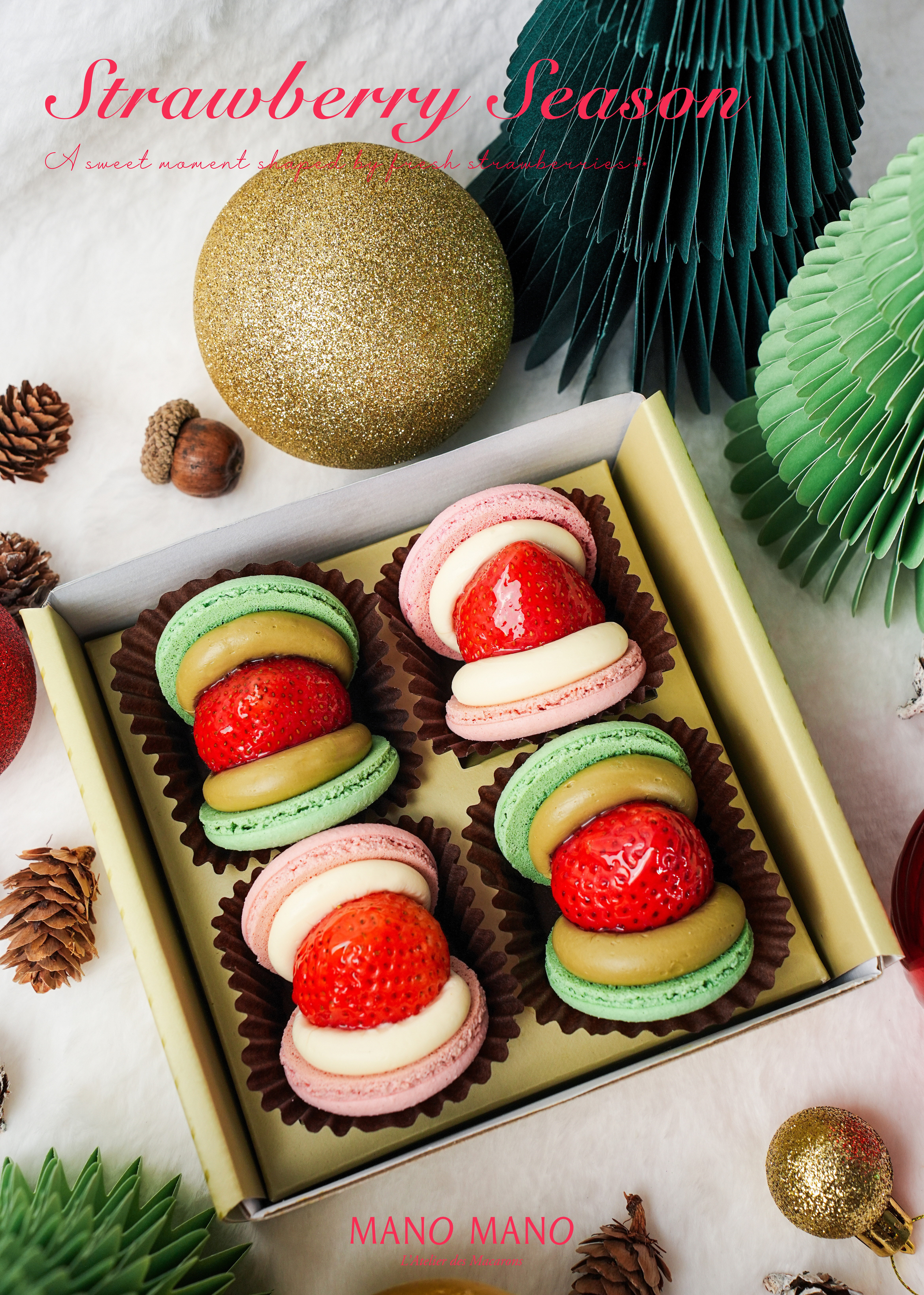 草莓季限定｜草莓貝殼