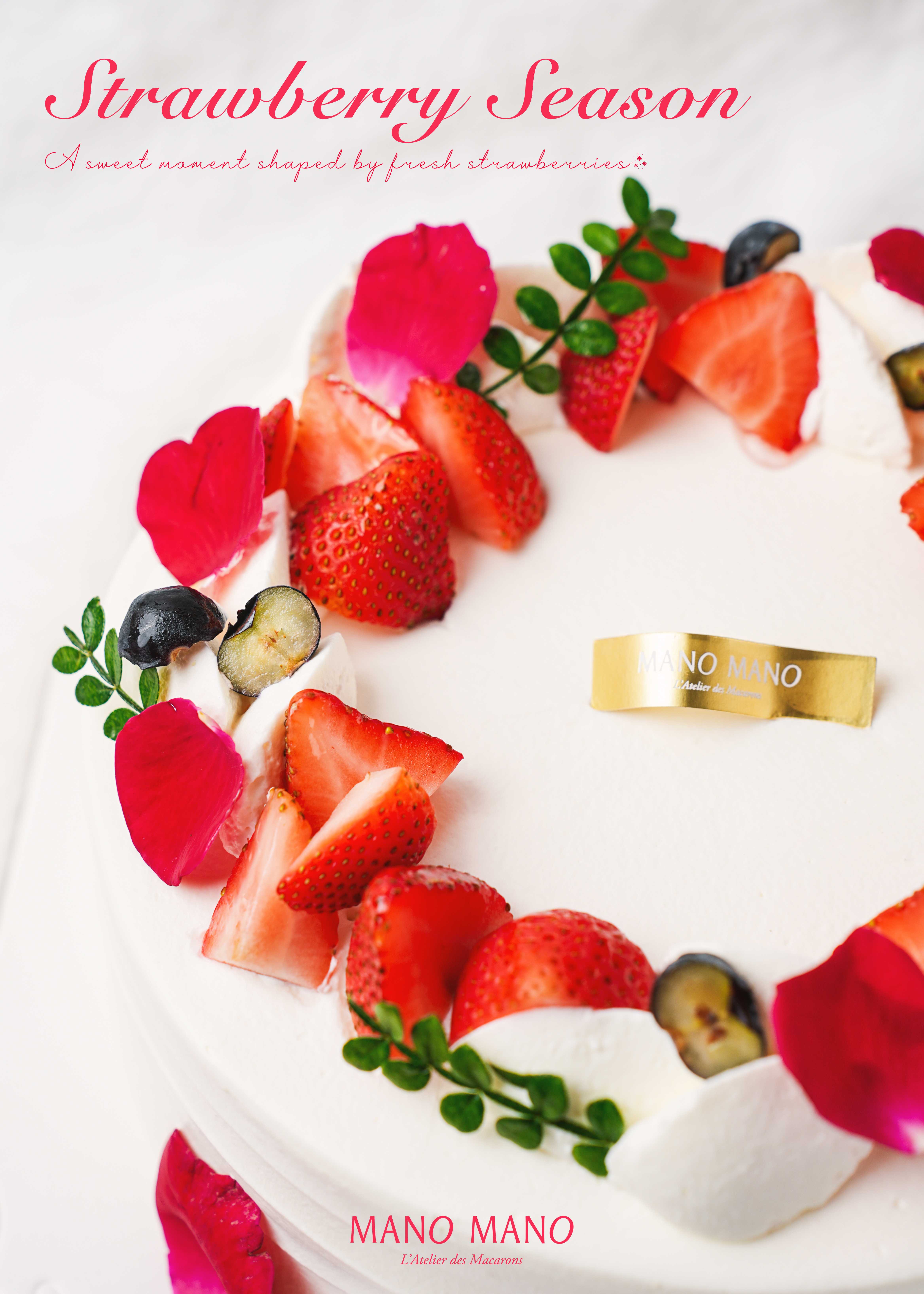 草莓季限定｜8吋 草莓花園