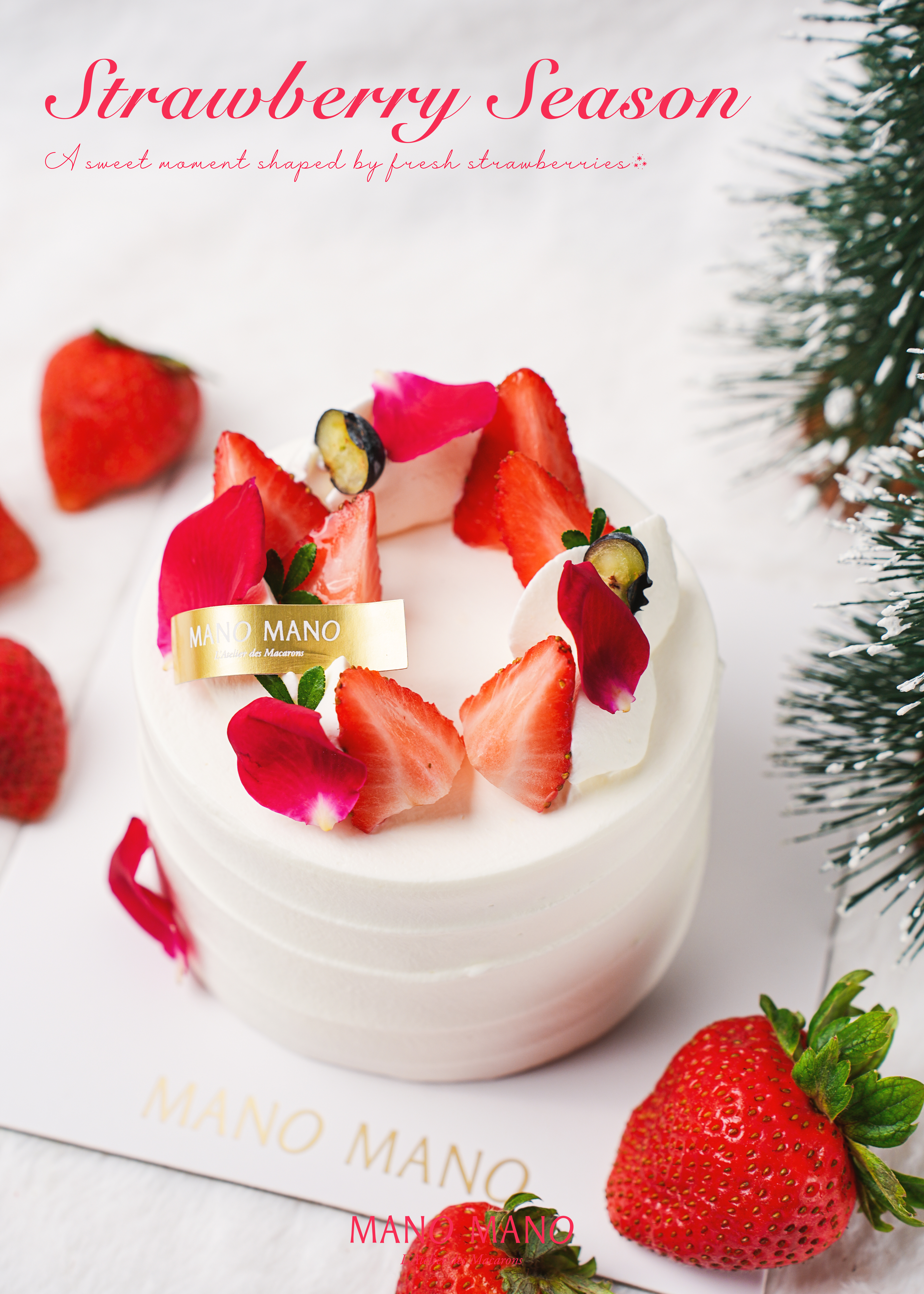 草莓季限定｜4吋 草莓花園