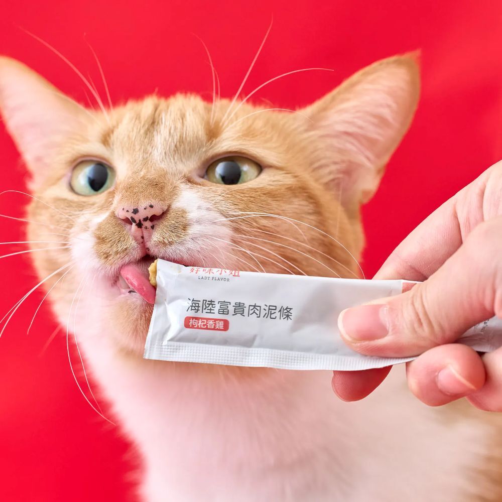 預購8折🔥2026花好月圓貓糖盒組 Ladyflavor 好味小姐年菜 好味年菜 送紅包袋+春聯 寵物年菜 貓咪年菜