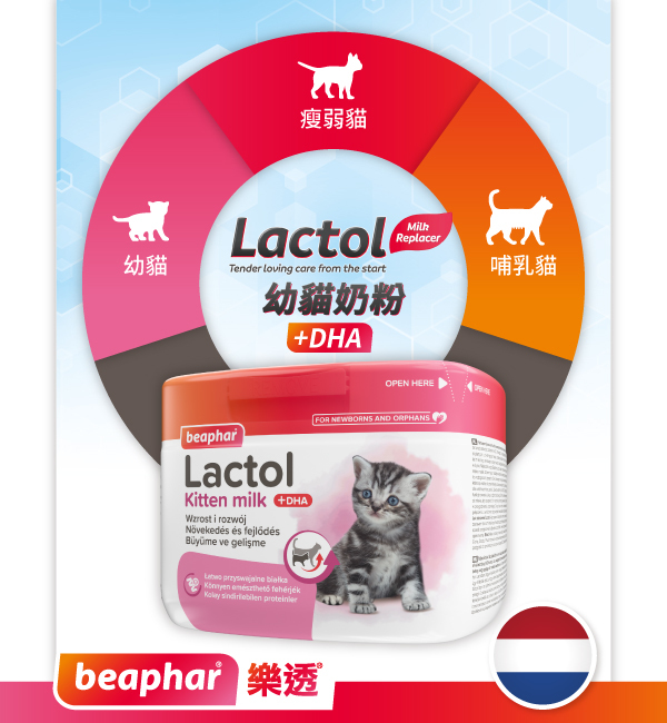 Lactol 幼貓奶粉＋DHA｜樂透 Beaphar