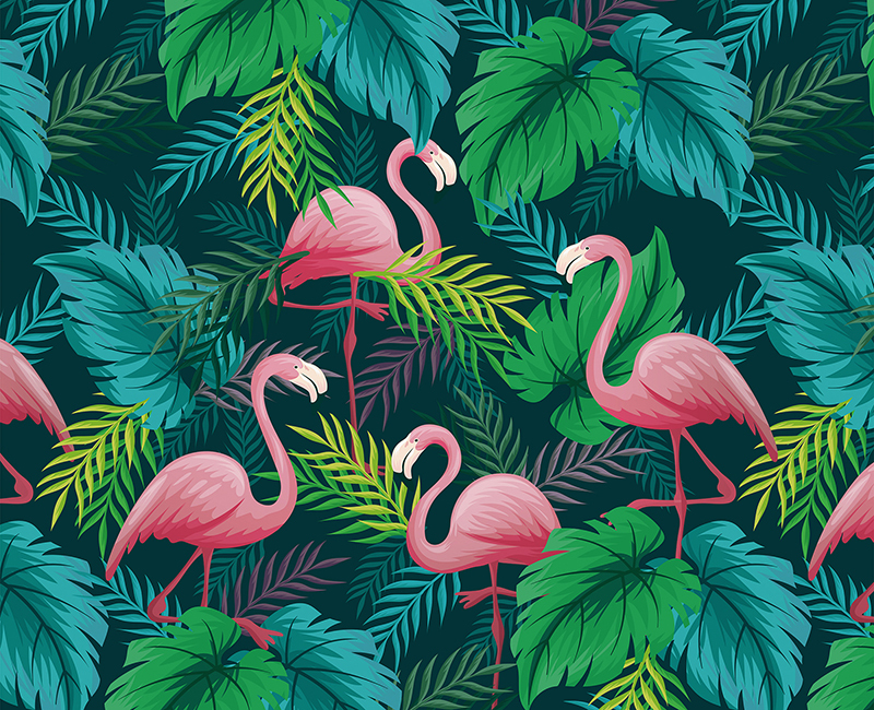 熱帶花草系列 018