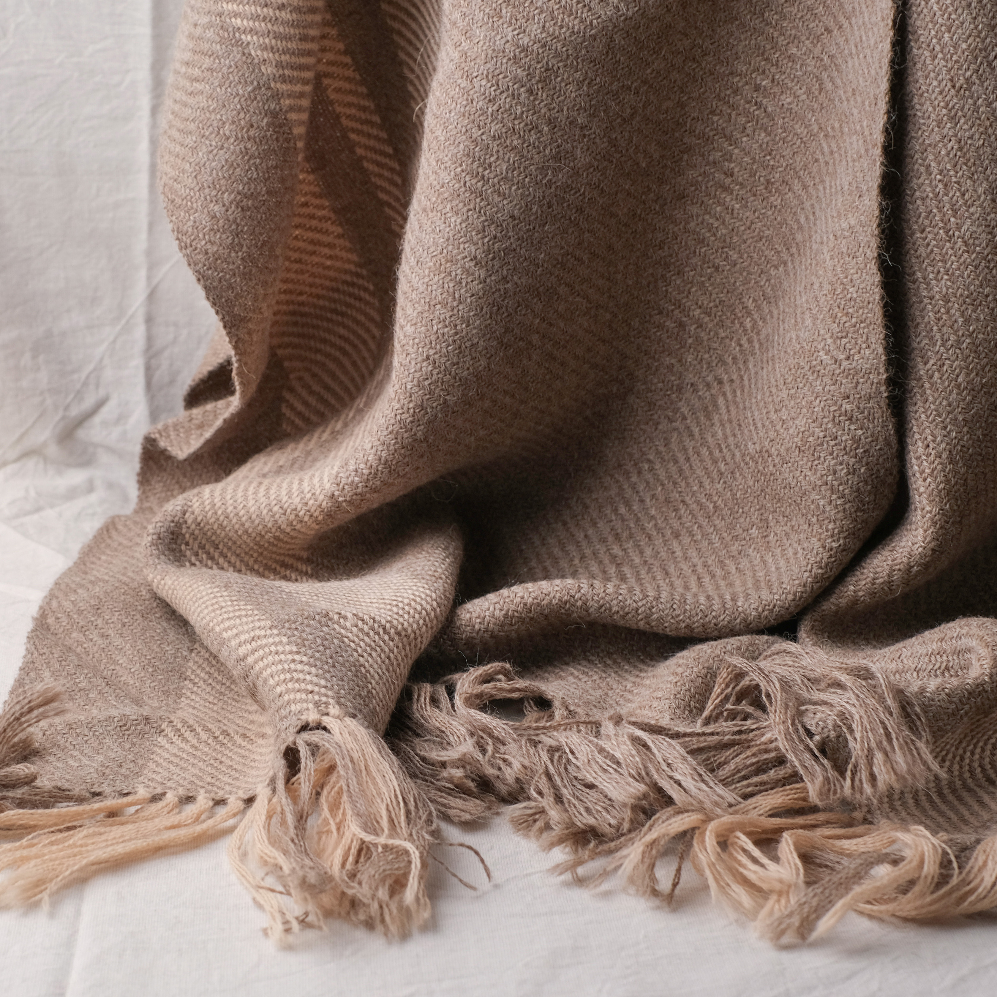 【限量】安地斯羊駝斗篷｜雪松｜祕魯