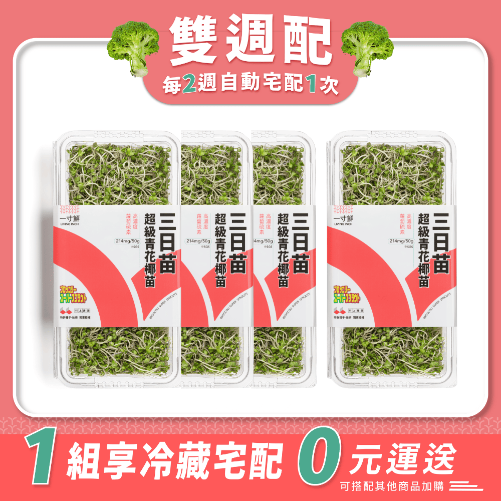 【雙週配】三日苗·超級青花椰苗 4 入組