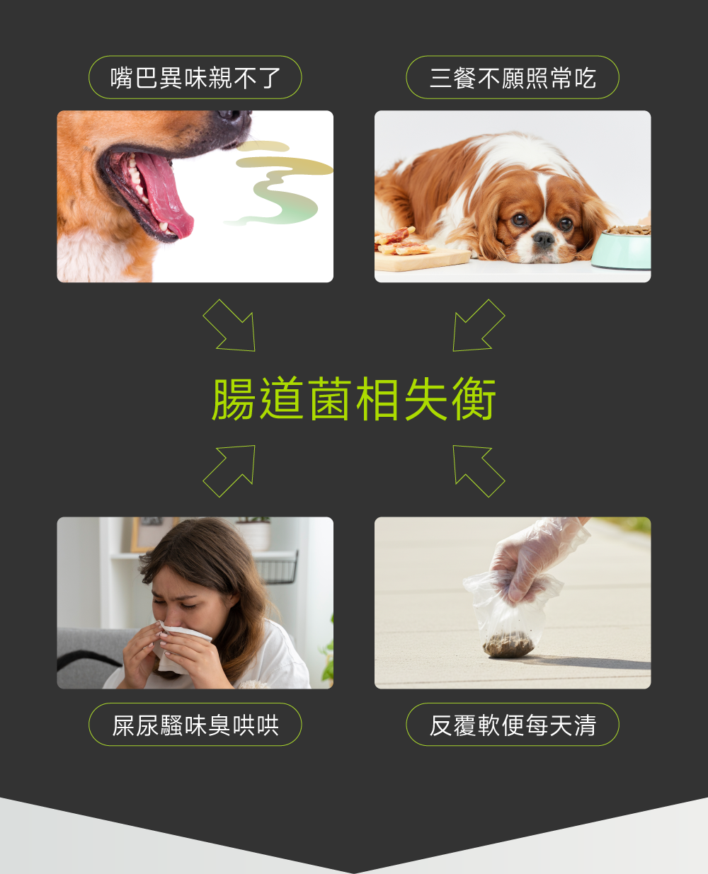 沛威狗好胃口益生菌問題圖