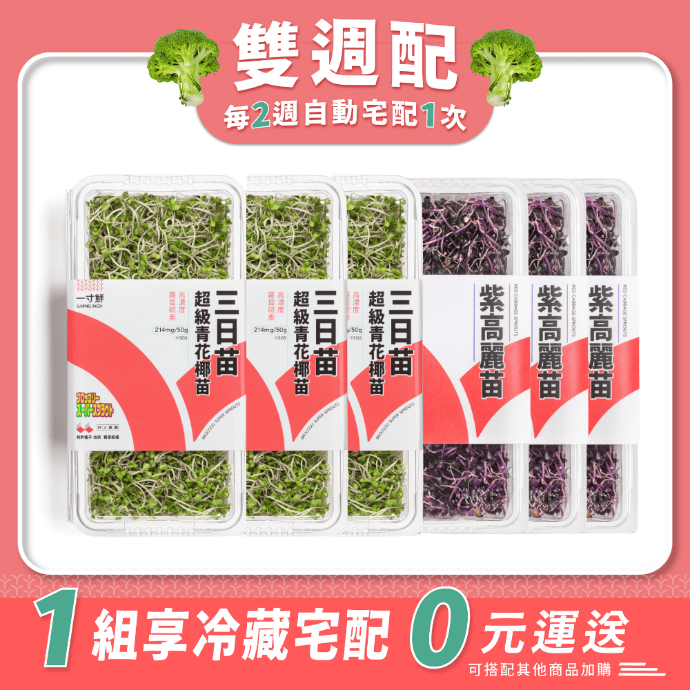 【雙週配】三日苗 3 盒 ╳ 紫高麗苗 3 盒