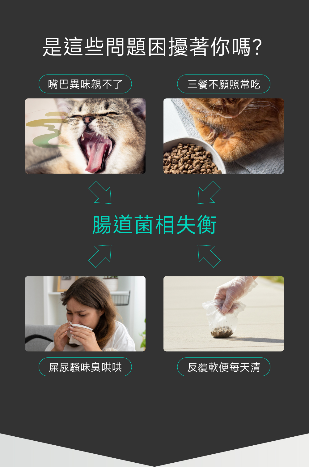 沛威專效保健貓專用好胃口益生菌問題圖