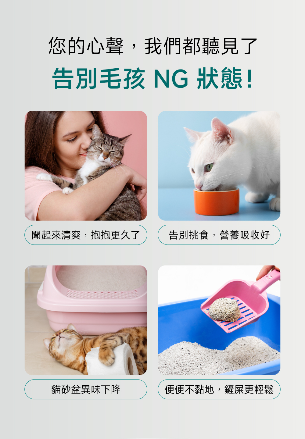 沛威專效保健貓專用好胃口益生菌告別貓狗NG狀態