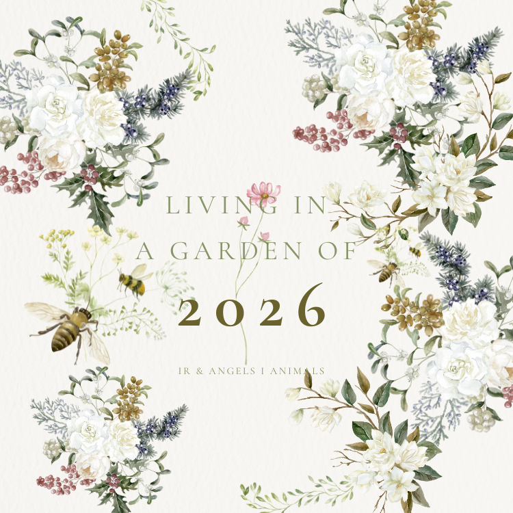 魔法蠟燭 + 噴霧 》2026 花園之美