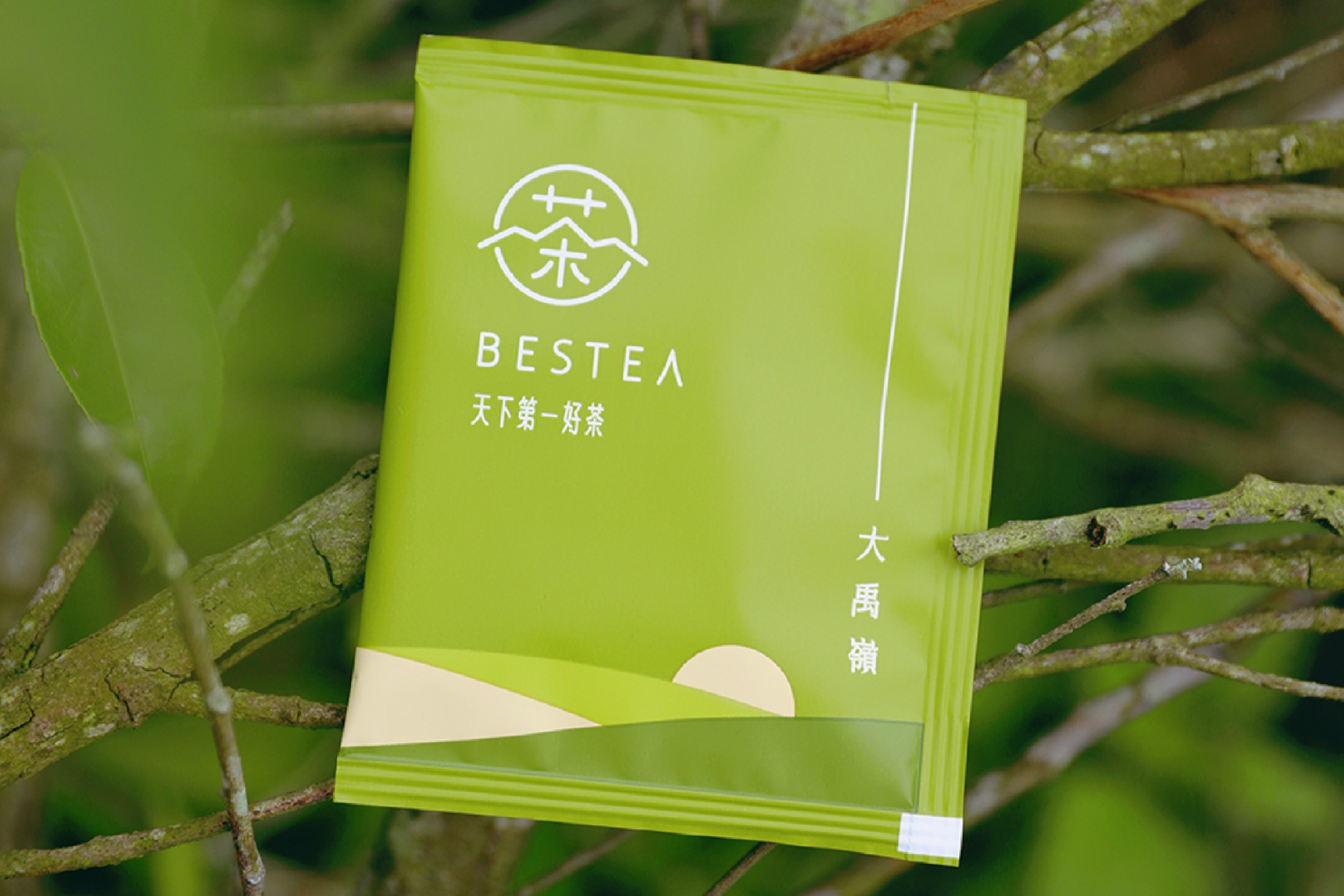 大禹嶺茶包｜大禹嶺高山茶葉- 天下第一好茶