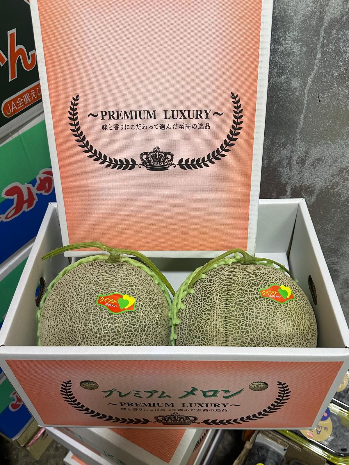 宮崎 赤肉蜜瓜 [1箱2個|大裝]