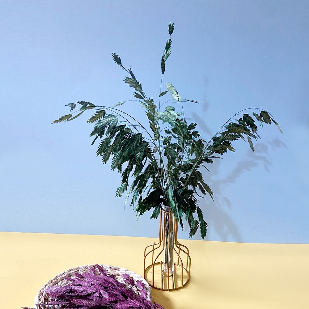 【台灣現貨速發】永生小盼草｜一把約10枝｜永生 乾燥 小盼草 凌風草 風動草