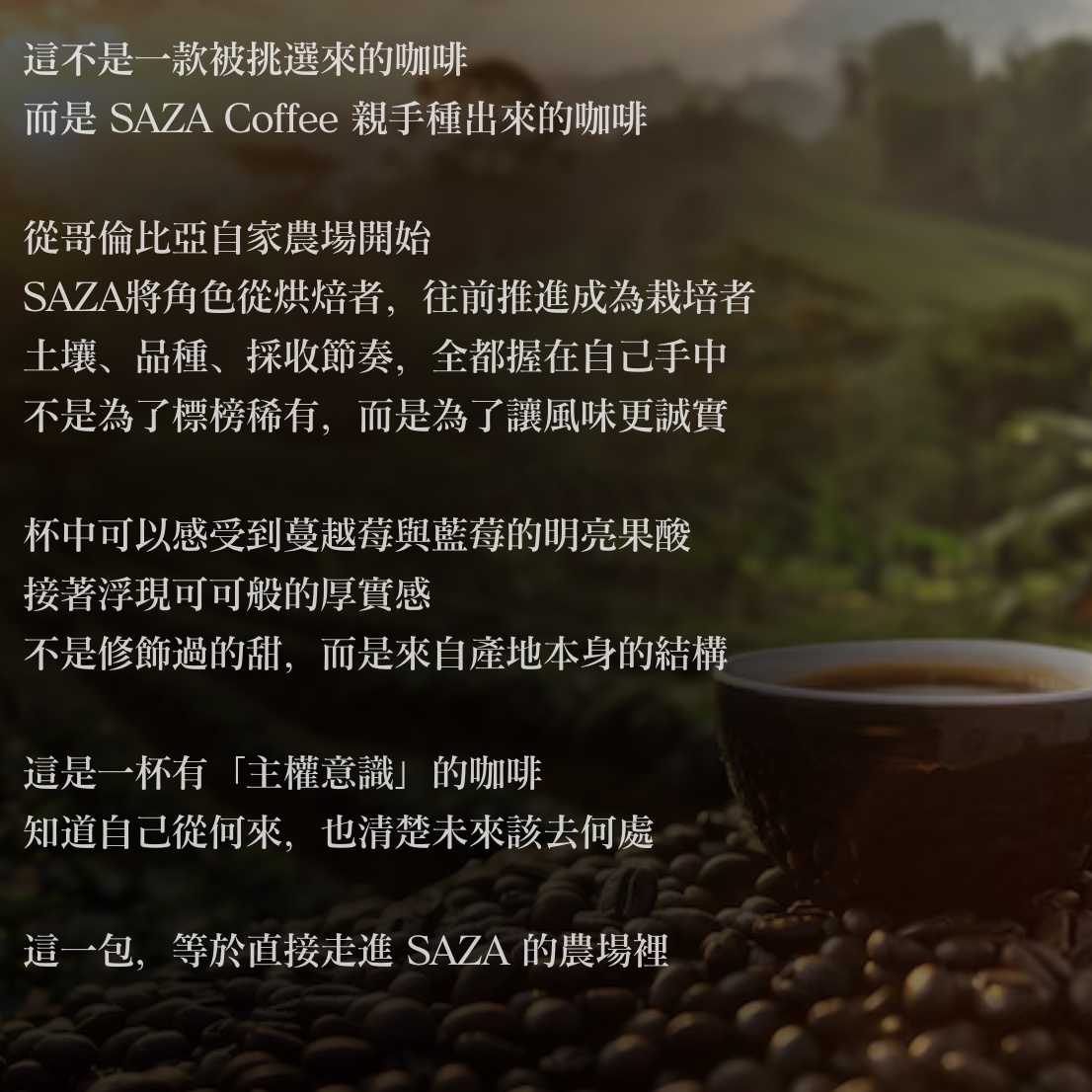 【24H出貨】日本𝗦𝗔𝗭𝗔 𝗖𝗼𝗳𝗳𝗲𝗲 自家栽培農場