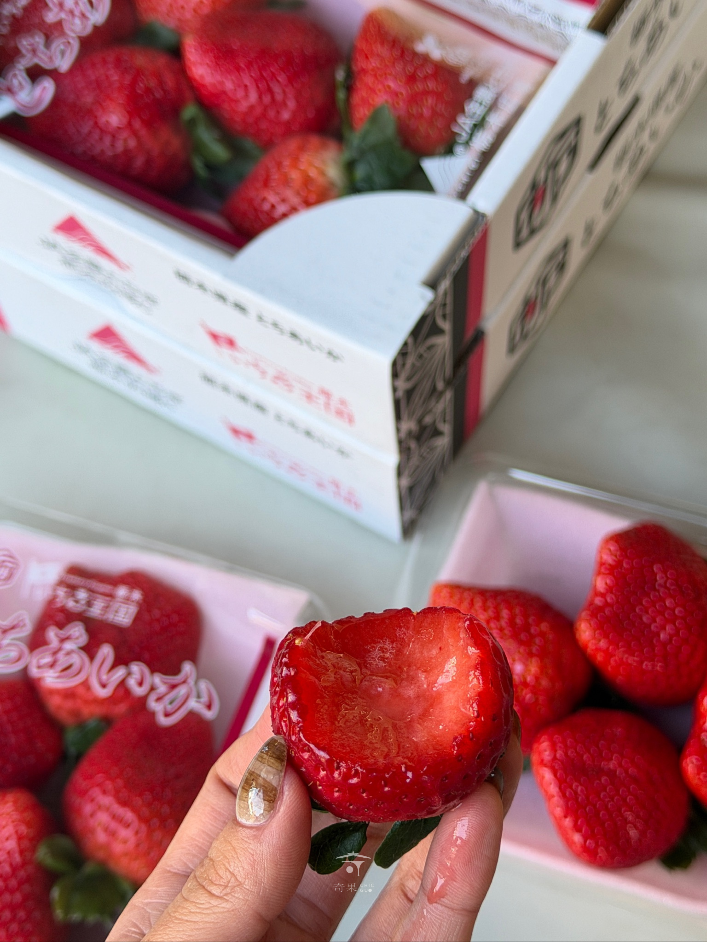 奇果｜栃木栃愛香天木草莓