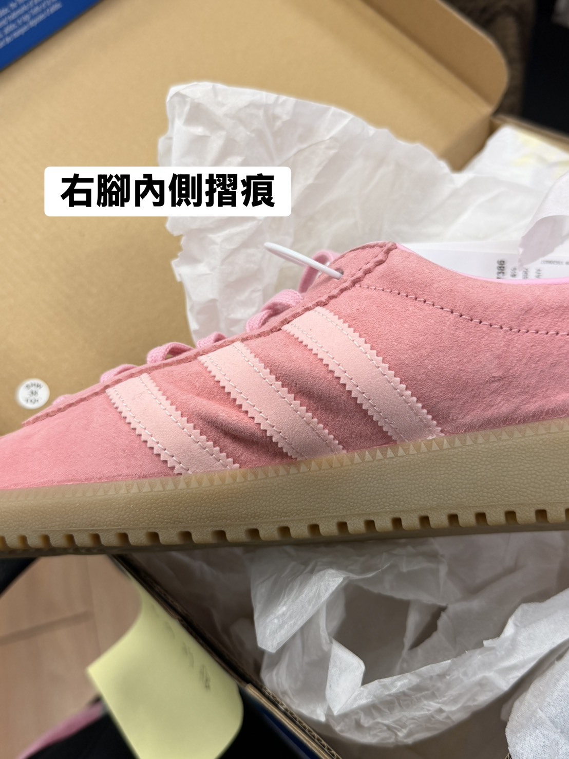 NG-24cm-Adidas Bermuda Glow Pink 粉
