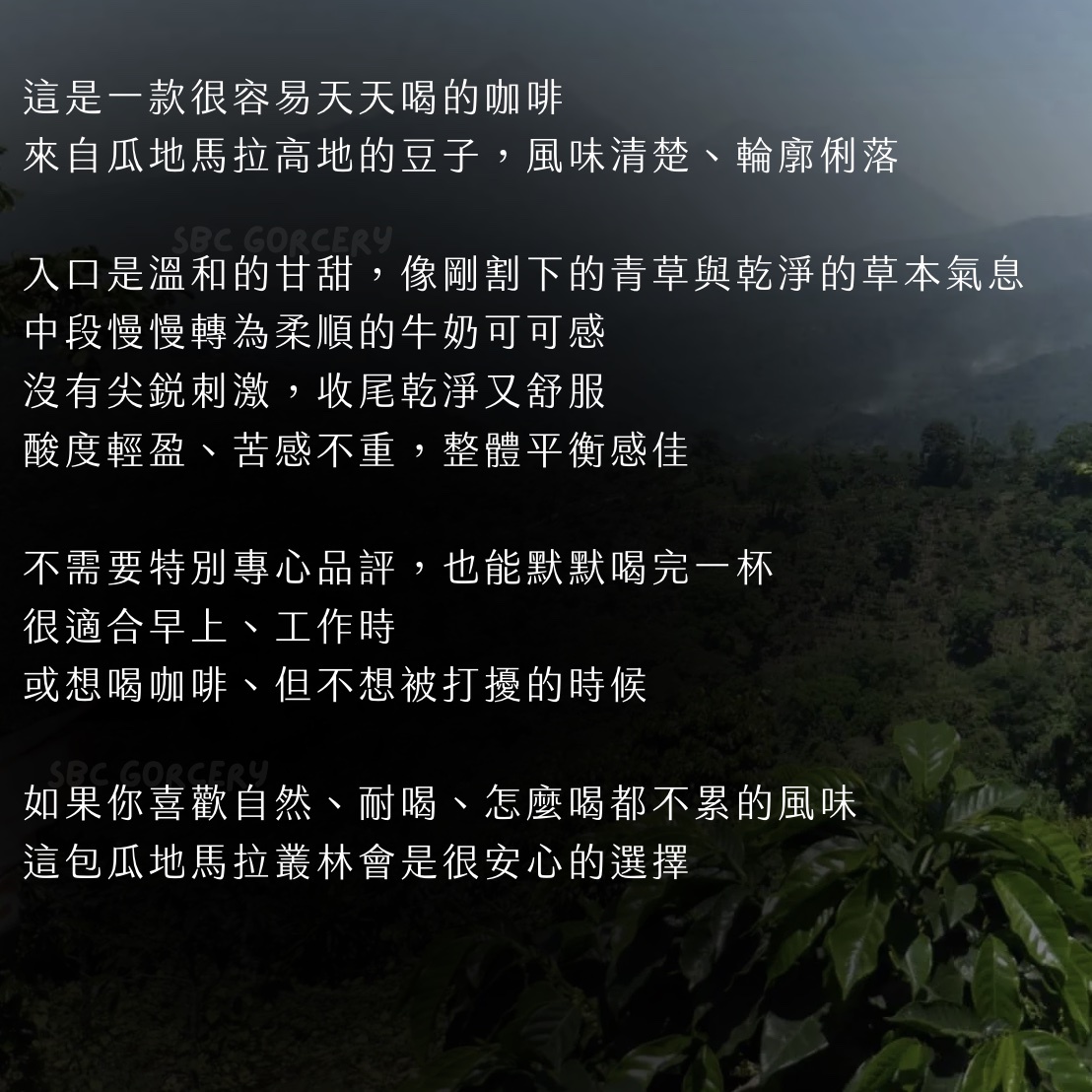 【24H出貨】日本𝗦𝗔𝗭𝗔 𝗖𝗼𝗳𝗳𝗲𝗲 瓜地馬拉叢林