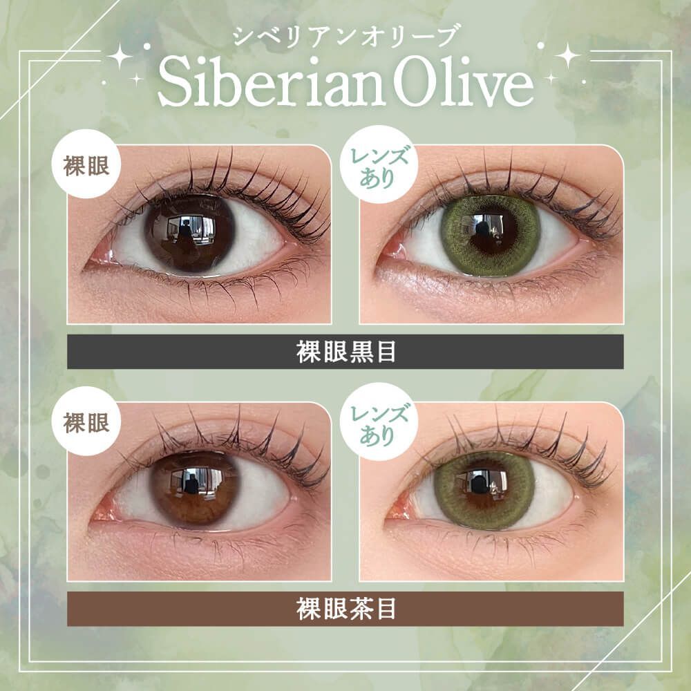 Rain 1 Day (Siberian Olive) (10P)