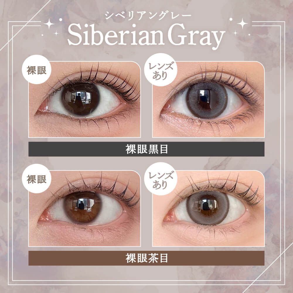 Rain 1 Day (Siberian Gray) (10P)