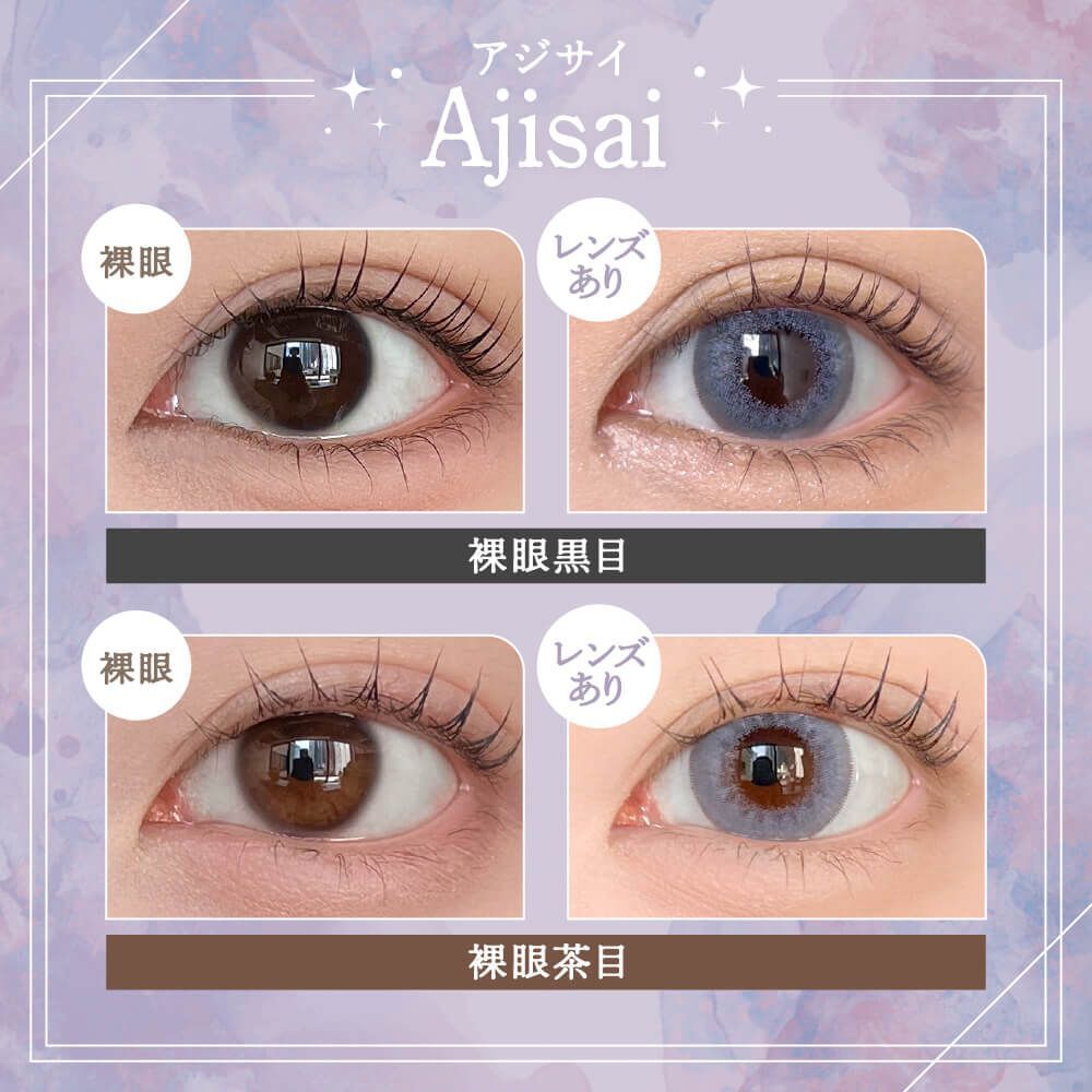 Rain 1 Day (Ajisai) (10P)