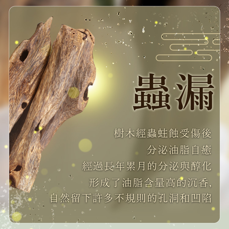 綠椅楠蟲漏吊墜