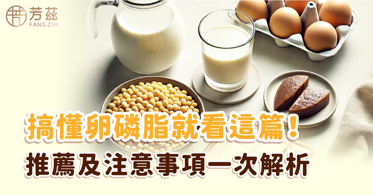 搞懂卵磷脂就看這篇 ! 推薦及注意事項一次解析